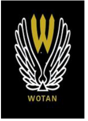 Wotan Holding