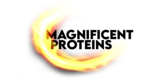 Magnificent Proteins B.V.